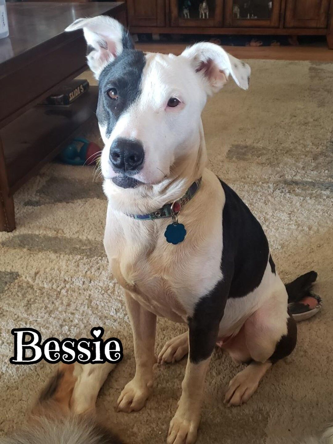 Bessie